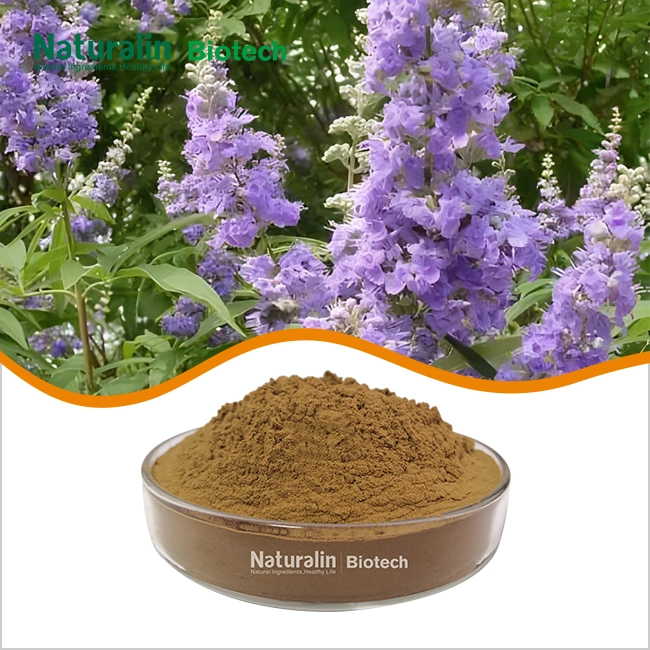 Vitex Extract Powder